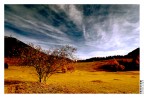 Landscape Landscape