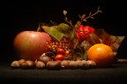 composizione autunnale 2 composizione autunnale 2