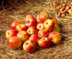 frutta autunnale frutta autunnale