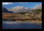 Connemara Connemara