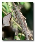 Arrampicata Arrampicata