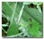 Il saluto � la prima cosa...