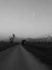 Road to nowhere... Road to nowhere...
