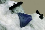 Benitoite con Neptunite Benitoite con Neptunite