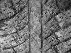 Texture Texture