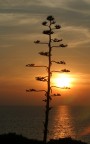 tramonti tramonti