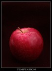 Temptation