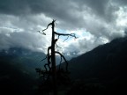 In Austria In Austria