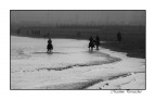 galoppatta sul mare galoppatta sul mare
