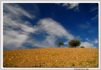 Collina d'Autunno Collina d'Autunno