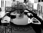 Riflessi Riflessi
