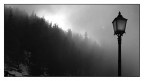 ::: LA NEBBIA AGLI IRTI COLLI :::
