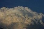Pileus