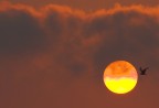 L'alba L'alba