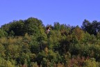 C'è una casa nel bosco....... C'è una casa nel bosco.......