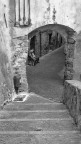 Liguria.Taggia