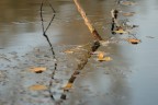 Riflessi Riflessi