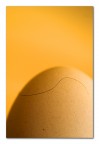 Il pelo nell'uovo Il pelo nell'uovo