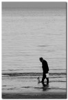 L'unica vongolara L'unica vongolara