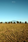 Sicilia Sicilia