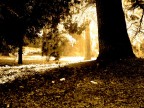 autunno a roma 70 autunno a roma 70