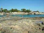 Il pescatore ( Ognina-siracusa) Il pescatore ( Ognina-siracusa)