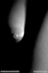 Body Closeup Body Closeup