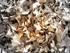 Autunno Autunno