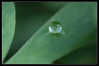 H20 H20