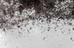 fall rain fall fall rain fall