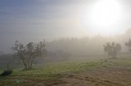 Umbria mattutina 1 Umbria mattutina 1