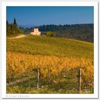 Chianti Shire