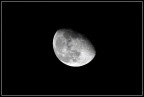 Luna Luna