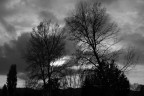 the hollow the hollow