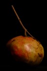 Frutto Frutto