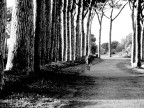 per il parco per il parco