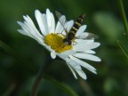 Macro1 Macro1