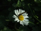 Macro3 Macro3