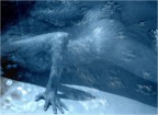 contest- AQUA contest- AQUA