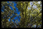 Il Cielo, diviso