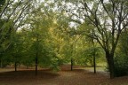 Autunno Autunno