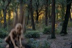 Strani incontri nel bosco selene Strani incontri nel bosco selene