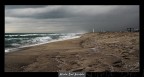Mare Mare