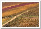 Chianti Texture