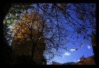 Autunno azzurro Autunno azzurro