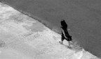 walking on bw walking on bw