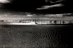 Camargue.
Leica M7 con Summicron 28mm, IR Kodak e filtro rosso.