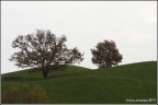 Colline verdi Colline verdi