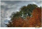 Cromia di colori. Cromia di colori.