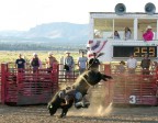 Rodeo show Rodeo show